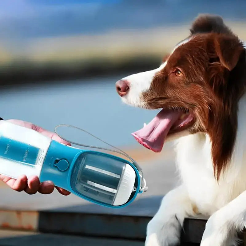 hree-in-one Portable Small Multi-functional Pet Cups - ShopElika