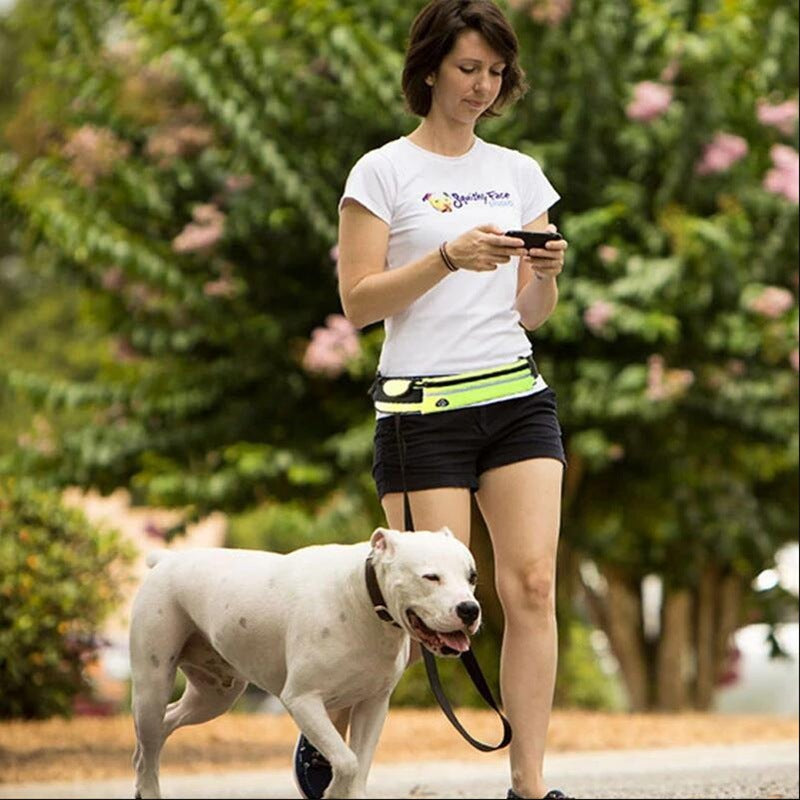 Hands-Free Dog Leash with Bungee – Training Belt for Large Dogs (Up to 180lbs) - ShopElika
