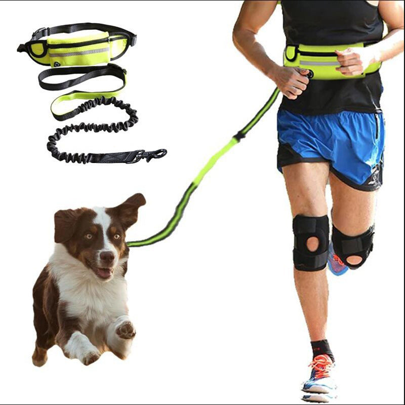 Hands-Free Dog Leash with Bungee – Training Belt for Large Dogs (Up to 180lbs) - ShopElika